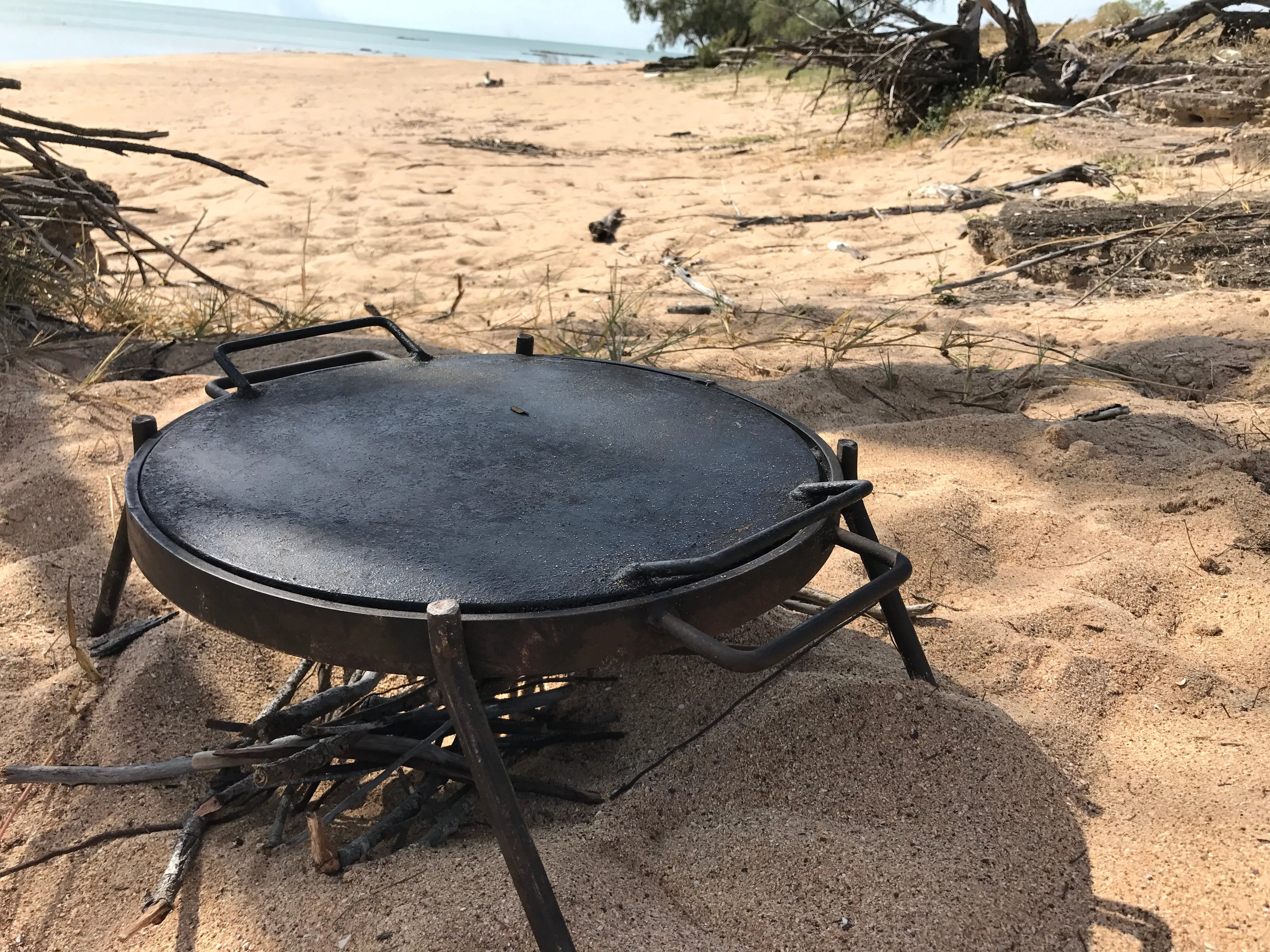 Folding BBQ Grill with Drop in Hot Plate & Hook