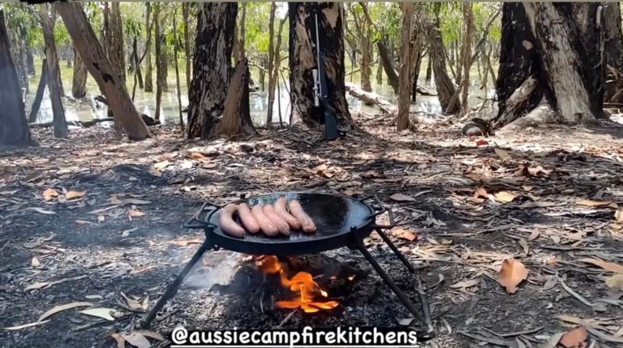 Folding BBQ Grill with Drop in Hot Plate & Hook