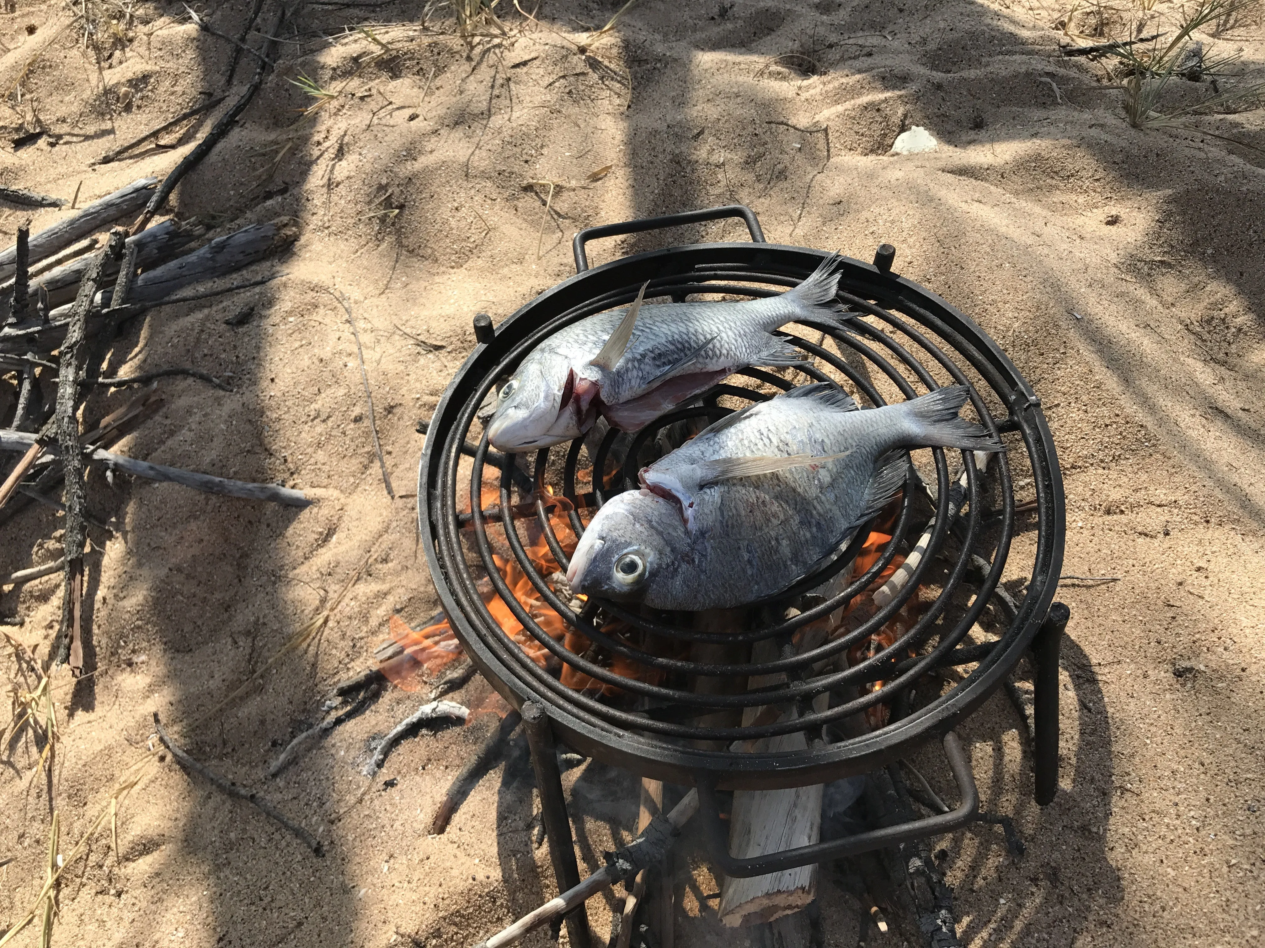 Folding BBQ Grill with Drop in Hot Plate & Hook